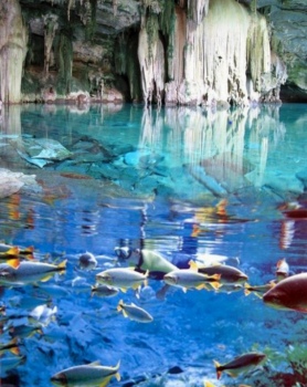 BONITO E PANTANAL