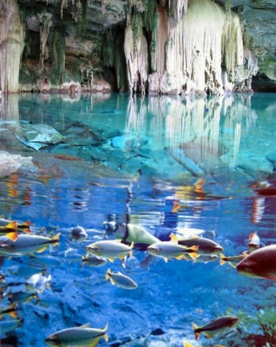 BONITO E PANTANAL